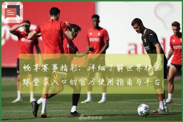 畅享赛事精彩：详细了解世界杯买球登录入口的官方使用指南与平台功能