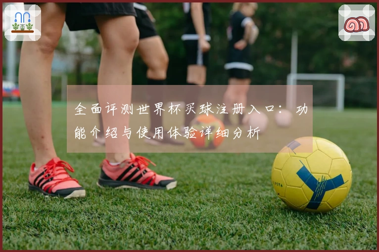 全面评测世界杯买球注册入口：功能介绍与使用体验详细分析
