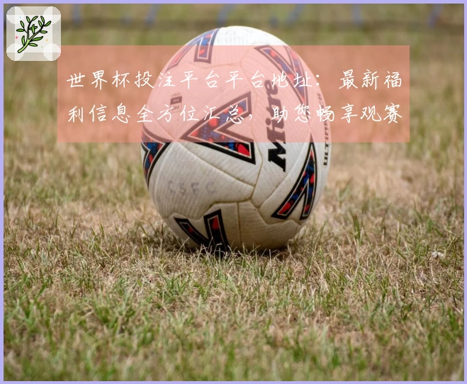 世界杯投注平台平台地址：最新福利信息全方位汇总，助您畅享观赛精彩