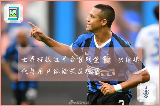 世界杯投注平台官网登录：功能迭代与用户体验深度观察