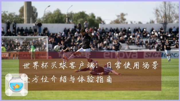 世界杯买球客户端：日常使用场景全方位介绍与体验指南