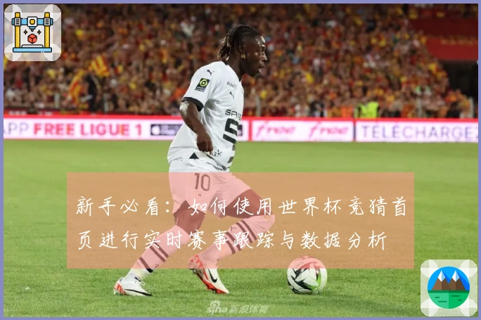 新手必看：如何使用世界杯竞猜首页进行实时赛事跟踪与数据分析